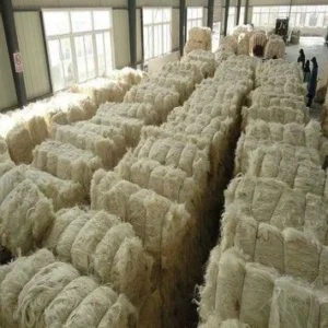 SISAL FIBER