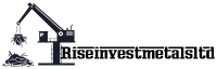riseinvestmetalsltd.com